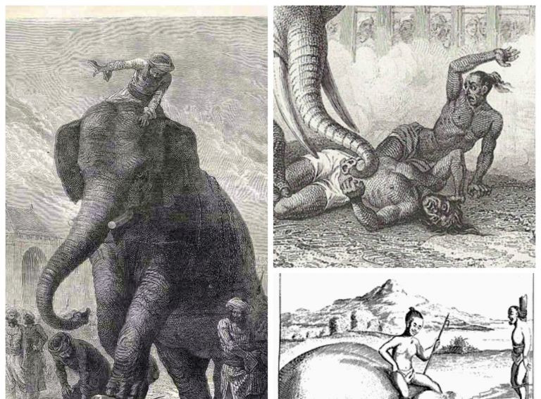 Trong số nhiều loại động vật, Ấn Độ sử dụng voi để xử tử tù nhân bởi vì loài vật này có kích thước to lớn và dễ huấn luyện để có thể phục tùng mệnh lệnh của người hành hình.