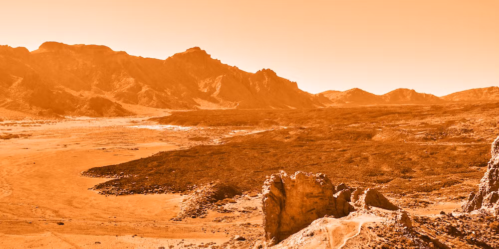 Trên Trái đất, ước tính số vi khuẩn trong sinh quyển sâu chiếm gần 1/2 tổng số sinh vật trên hành tinh. Các nhà khoa học thậm chí còn tin rằng, lòng đất của sao Hỏa còn dễ sống hơn Trái đất.