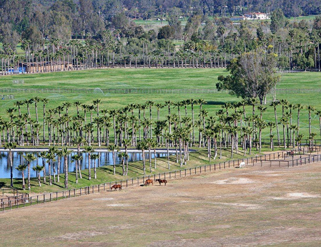 Ngoài ngôi nhà ở Seattle 125 triệu USD, Bill Gates đã chi 27 triệu USD cho một trang trại ngựa ở Wellington, Florida và 18 triệu USD cho Rancho Paseana