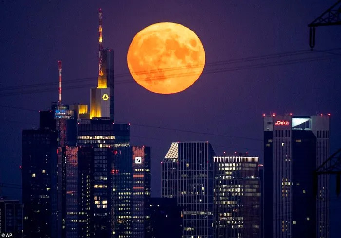 Theo tính toán của NASA, Mặt Trăng sẽ tiến tới điểm rất gần Trái đất trên quỹ đạo hình elip của nó, chỉ còn cách 363.300 km vào thời điểm cực đại. Siêu trăng có thể lớn hơn 14% và sáng hơn 30% so với trăng rằm bình thường. Ảnh: Mặt trăng tỏa sáng bên trên các tòa nhà chọc trời ở Frankfurt, Đức. Ảnh: AP.