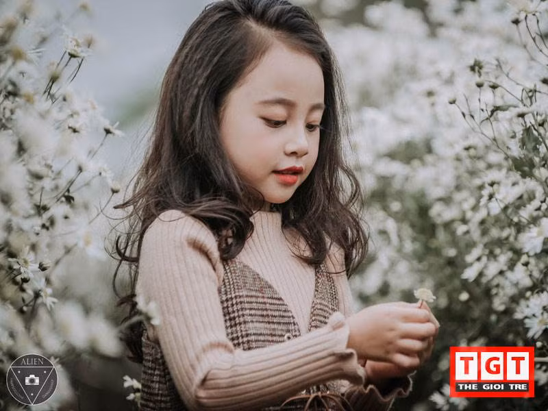 Đây là thời điểm nhiều người, ở những độ tuổi khác nhau yêu thích chụp hình đều lùng sục tìm đến những đồng cúc họa mi để thưởng lãm, tạo dáng chụp ảnh.