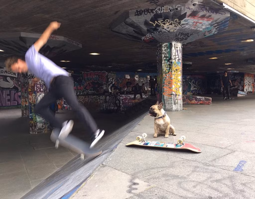 Chu cho biet truot van sieu dang gay sot mang