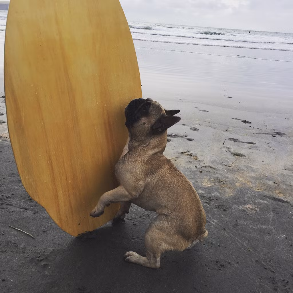 Đoạn video nhận được rất nhiều quan tâm, thu hút 22 triệu lượt xem trên trang fanpage 9GAG cùng hơn 40.000 bình luận.