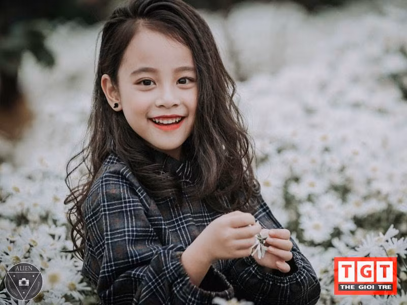 Khi phố phường bắt đầu ngập tràn màu trắng tinh khôi của những bông cúc họa mi thì đó cũng là lúc những cơn gió đông đầu mùa bắt đầu thổi nhè nhẹ.