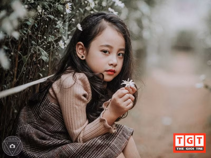 Mùa cúc họa mi năm nay nhóc tỳ được mệnh danh "Chipu phiên bản nhí"- Bảo Vy được mẹ cùng một chàng nhiếp ảnh khá nổi tiếng- Đặng Vũ Hiệp đưa đi chụp ảnh và có những bức ảnh rất đẹp trong tiết trời vào đông ở Hà Nội.