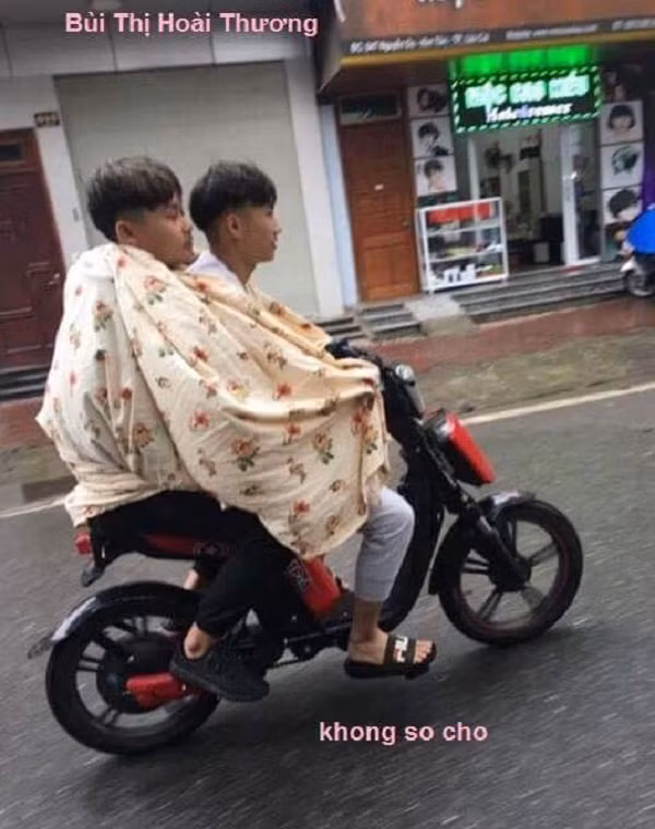 Mùa đông không lạnh.