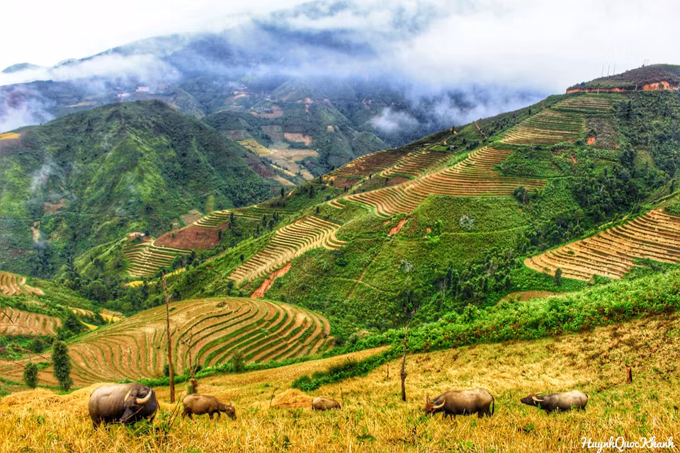 Bản làng yên bình được phủ lên trên một màu trắng xóa của mây trời.