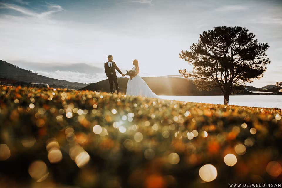 Sau 9 tháng quen, vào ngày sinh nhật nàng, Hữu Tuyên tỏ tình bằng dòng tin: 'Cuộc đời anh chỉ có một. Và anh đã trao tặng lại cho em. Anh yêu em' và rồi nhận được cái gật đầu đồng ý của nàng.