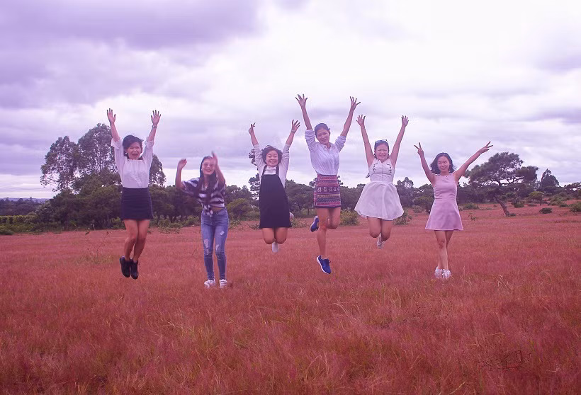 Rất nhiều du khách đến để tham quan, "check in" tại đồi cỏ hồng.