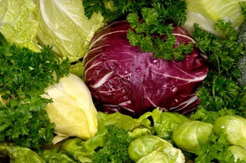 Thực phẩm quá giàu chất xơ: Nếu tiêu thụ thực phẩm giàu chất xơ khi uống thuốc có thể làm ảnh hưởng đến khả năng hấp thụ thuốc của dạ dày. Nhóm thực phẩm này nếu dùng chung với thuốc chống suy nhược cũng sẽ cho kết quả ngược lại.