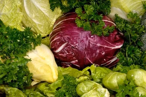 Thực phẩm quá giàu chất xơ: Nếu tiêu thụ thực phẩm giàu chất xơ khi uống thuốc có thể làm ảnh hưởng đến khả năng hấp thụ thuốc của dạ dày. Nhóm thực phẩm này nếu dùng chung với thuốc chống suy nhược cũng sẽ cho kết quả ngược lại.