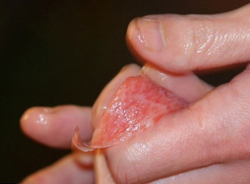 Thịt cá ngừ được chia làm ba loại, lưng, lườn và bụng. Những miếng sushi làm từ thịt bụng bao giờ cũng có giá đắt nhất. Năm 2012, giá thành trung bình một suất sushi cá ngừ vây xanh được bán đấu giá tới 1,7 triệu USD tại nhà hàng của ông Kiyoshi Kimura là 345 USD (tương đương hơn 7 triệu đồng). Ảnh: Dailymail.