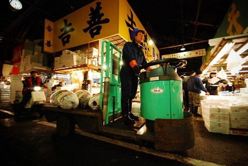 Phía ngoài nhà đấu giá là khu vực vận chuyển. Dù có diện tích bằng 43 sân bóng đá nhưng nơi đây luôn chật hẹp, quá tải và hay xảy ra ùn tắc. Sau hơn 80 năm tồn tại, Tsukiji sẽ được di dời đến một hòn đảo nhân tạo có tên Toyosu, cách vị trí cũ khoảng 1,5 dặm vào năm 2016. Ảnh: Medium.