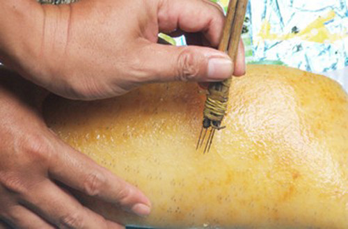 Cong nghe mong ma thit lon nai thanh thit lon rung