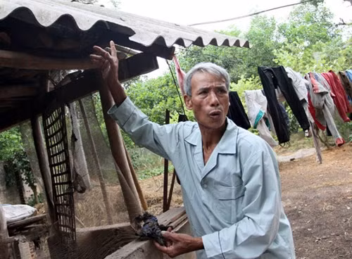 Ngoi nha bi an tu phat hoa 38 lan o Phu Tho-Hinh-3