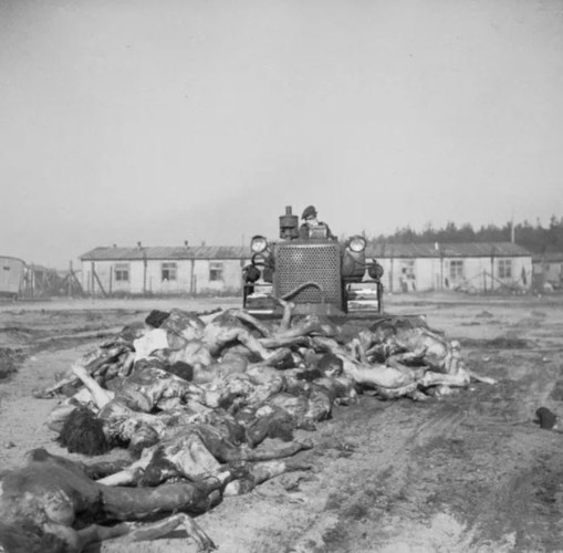 Những thi thể của các "tù nhân" tại Bergen-Belsen được đem đi chôn trong các ngôi mộ tập thể./.