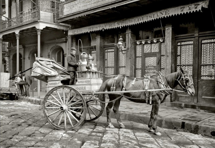 Một chiếc xe ngựa chở sữa ở New Orleans năm 1903.