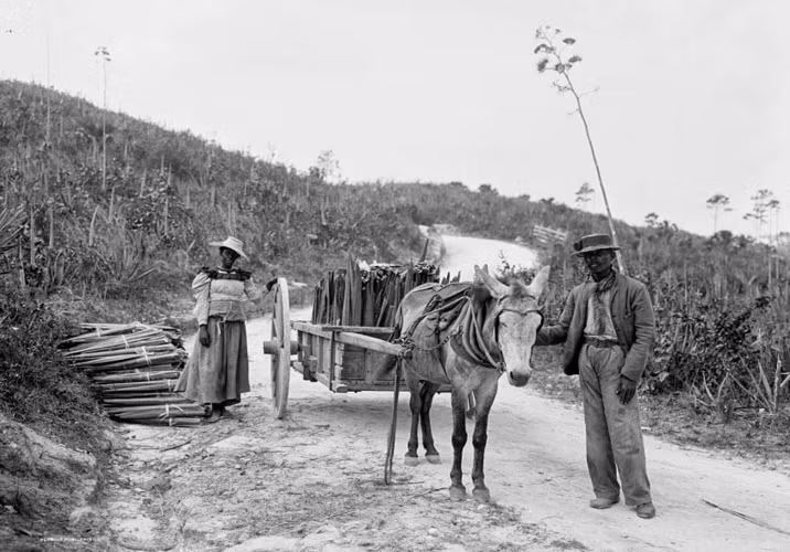 Một người đàn ông và một người phụ nữ chất củi lên xe ngựa năm 1898.