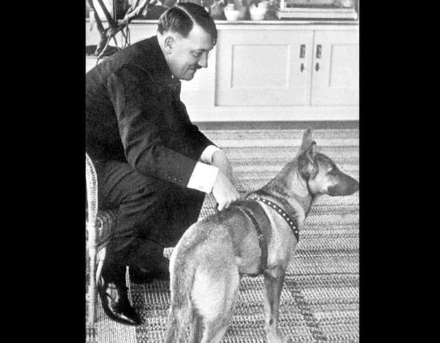 Bức ảnh chụp trùm phát xít và chó cưng Blonda tại dinh thự Haus Wachenfeld.