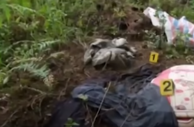 Qua khám nghiệm hiện trường cho thấy, nạn nhân là nam giới, khoảng 40 tuổi, đang trong thời kì phân hủy mạnh, có 5 thương tích trên cơ thể trong đó có 1 vết thương ở đầu làm thủng vỡ hộp so, nguyên nhân do bị bắn bằng súng ở khoảng cách gần.