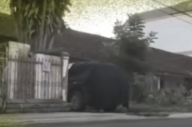 Đến ngày 1/9/2015, tức là sau 1 ngày khám nghiệm thi thể, cơ quan công an phát hiện ở ngôi nhà thuộc phường Lộc Sơn, TP Bảo Lộc có chiếc xe ô tô Innova đang trùm bạt kín, trùng với BKS chiếc xe tang vật của vụ án. Công an nhanh chóng bao vây, làm rõ người điều khiển xe về đây là Kiều Quốc Huy (quê Hà Tĩnh, tạm trú Đắk Lắk). 