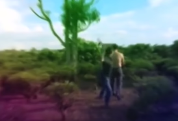 Chiều 4//3/2012, Huy hẹn vợ chồng bạn tại nhà riêng của nạn nhân ở thị trấn Lộc Thắng để trao đổi chuyện mua bán. Trong quá trình thương lượng, Huy dụ anh Bình ra sau nhà bếp rồi dùng rựa chém chết.