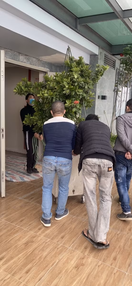 Chuyen la o chung cu cao cap Watermark ho Tay: Ban quan ly lam thay... luc luong cuong che