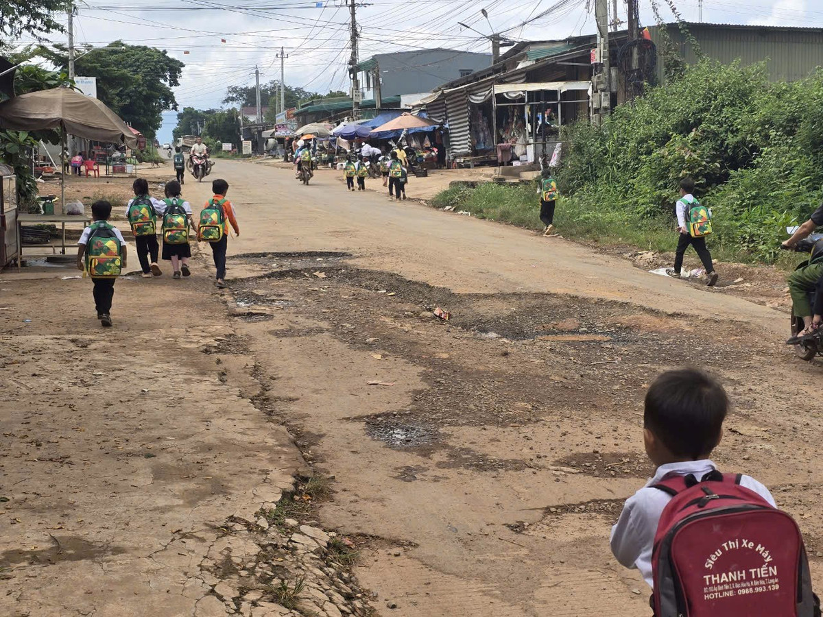 Dak Lak: Xe cho khoang san co dau hieu qua tai, gay o nhiem-Hinh-10