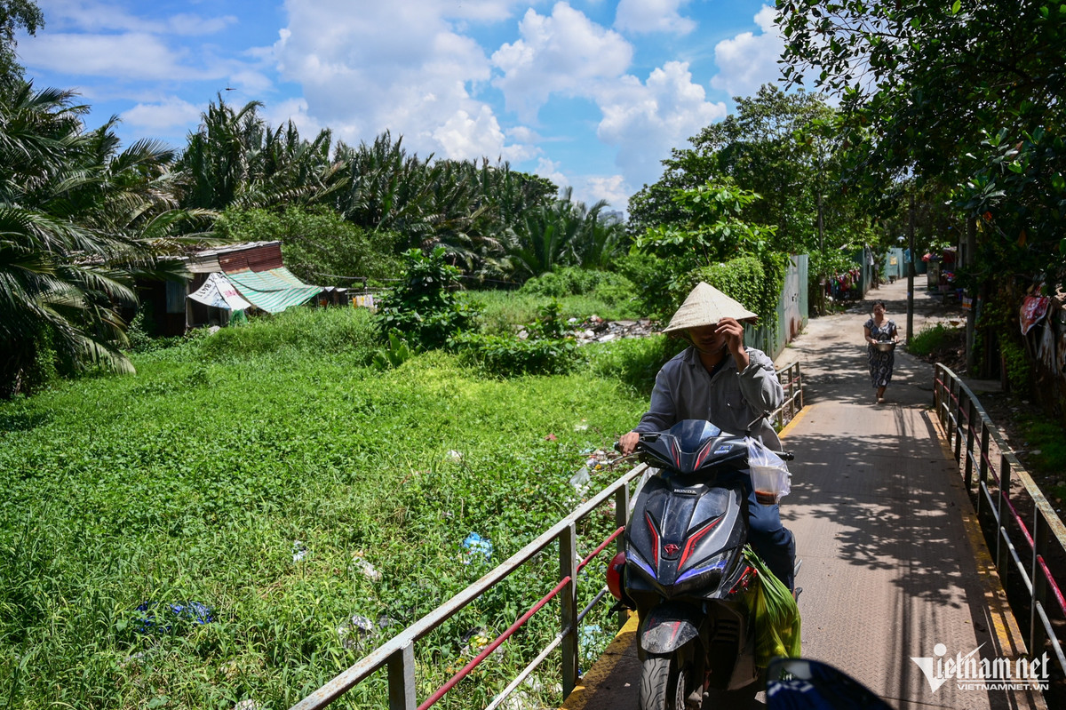 Ben trong du an 6A (huyen Binh Chanh) co gi?-Hinh-5