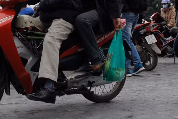 Nhiều cá chép lớn được người Hà Nội mang đến hồ Tây thả tiễn ông Công ông Táo.