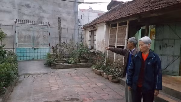 Nhiều năm liền vợ chồng ông Thục (gần 80 tuổi) liên tục bị cháu ruột khủng bố tinh thần, thể xác.