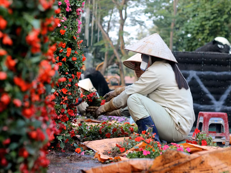 Công nhân nhanh tay làm việc để kịp thời gian hoàn thành hình tượng các con vật khổng lồ.