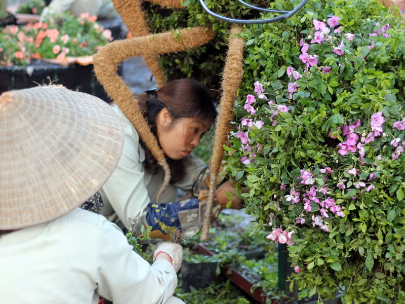 Hình tượng một chú nhện hoa khổng lồ đang được hoàn thiện.