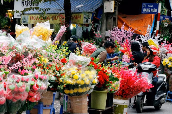 Những ngày cận Tết Nguyên đán Đinh Dậu 2017, nhiều chợ hoa ở Hà Nội rực rỡ với đủ các loại hoa được chào bán lung linh sắc màu.