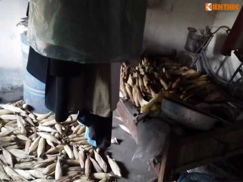 Bà Hợi chia sẻ: "Mấy năm trước, một hai nhà trong xóm cho tôi cái bánh chưng, chiếc đùi gà hay miếng thịt lợn khi Tết đến, nhưng nhận mãi cũng ngại. Năm nay, tôi cố gắng chăm được nửa sào ngô nhưng bán không kịp nên Tết để dành một chút làm mấy chiếc bánh ngô và luộc lên ăn là được rồi".