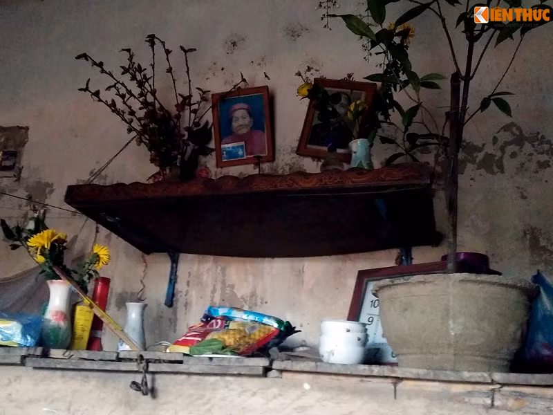 Tết đến, nhà hàng xóm cười nói rôm rả, con cháu kéo nhau đến đông vui, tiếng loa đài mở rộn ràng thì bà Hợi lại thui thủi một mình.