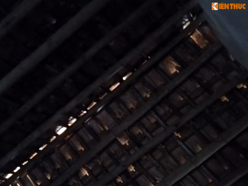 Hoàn cảnh vốn đã nghèo khó, bà Hợi lại phải sống cuộc sống một mình trong ngôi nhà cấp 4 lụp xụp, mưa nắng thì nhỏ dột, nay sức khỏe của bà càng ngày một kém đi nên chỉ có thể quanh quẩn chăm chút mấy con gà, chú chó kiếm thêm chút tiền ít ỏi bên cạnh khoản hỗ trợ từ Nhà nước.