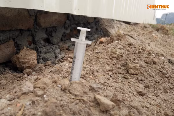 Nhiều chiếc bơm kim tiêm cắm sâu xuống đất.