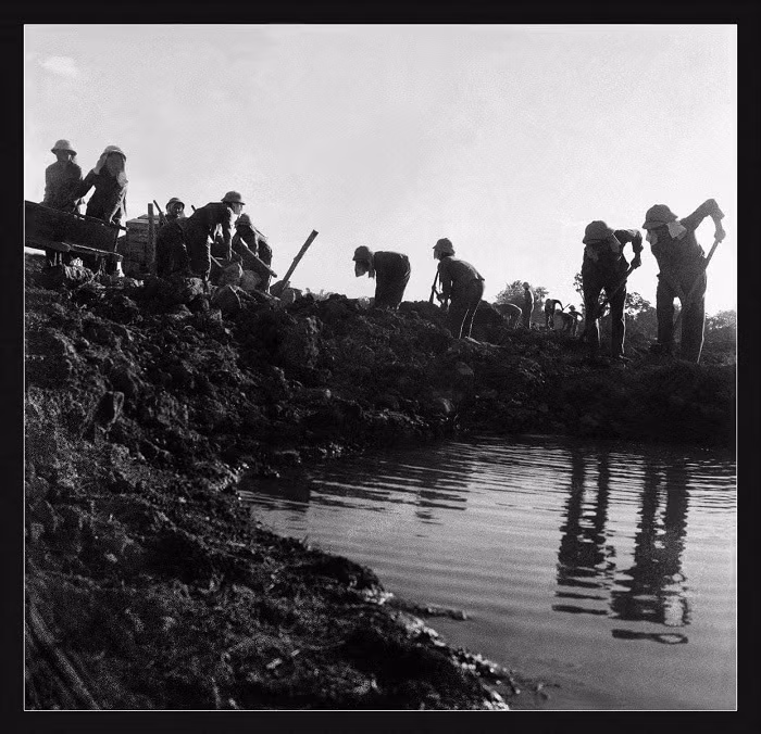 Truông Bồn đã trở thành đỉnh cao của cuộc chiến tranh nhân dân, là sức mạnh tổng hợp của nhiều lực lượng trực tiếp tham gia chiến đấu, phục vụ chiến đấu, trong đó TNXP là lực lượng chủ công. Với quyết tâm sắt đá "Sống bám cầu bám đường, chết kiên cường dũng cảm", họ đã khắc họa nên hình ảnh đẹp tuyệt vời của lực lượng TNXP góp phần quan trọng bảo vệ con đường huyết mạch ra tiền tuyến lớn.