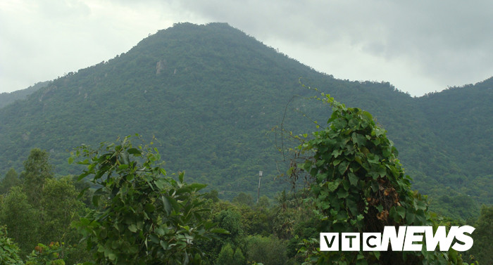 Kinh hoang cham tran ran khong lo thanh tinh tren nui Cam-Hinh-5