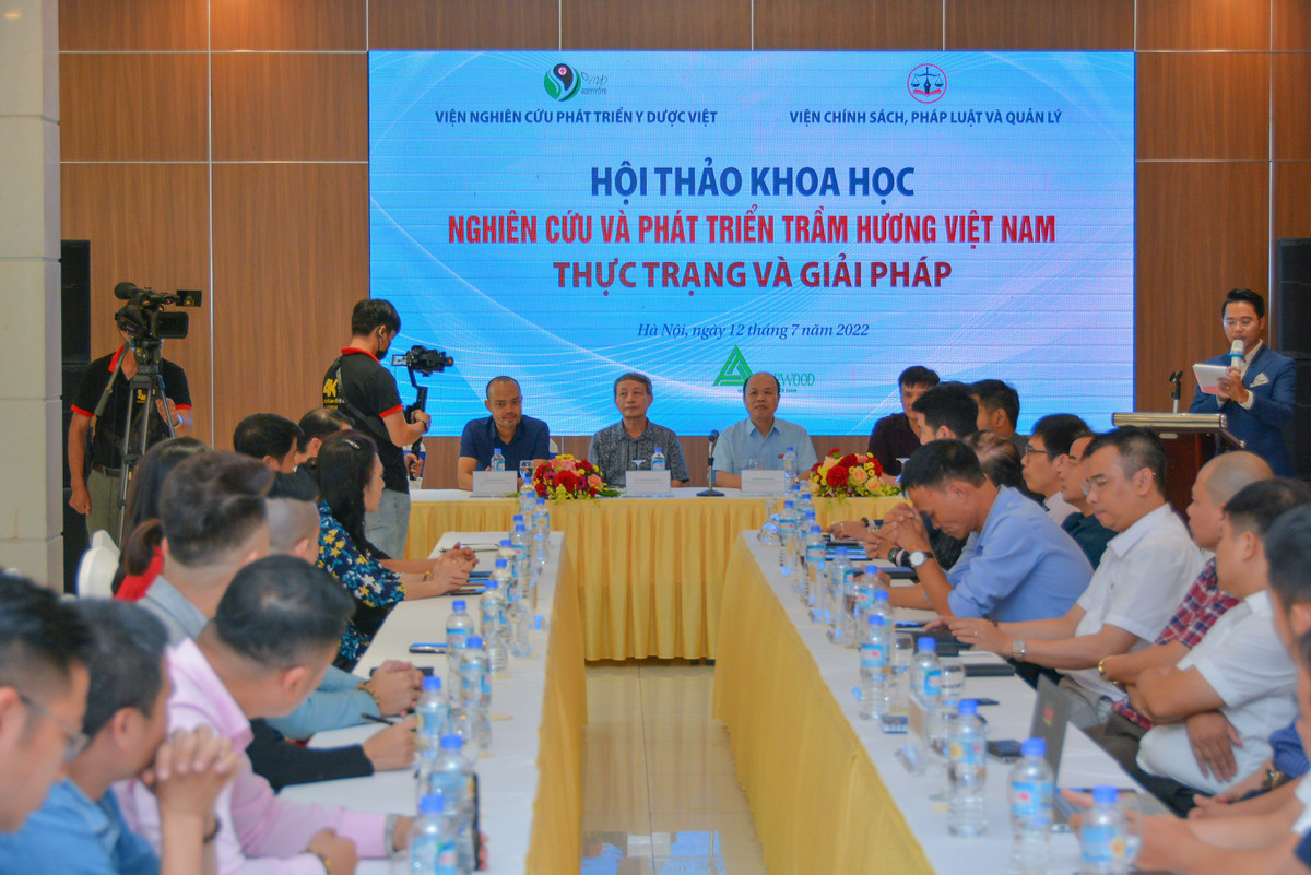 Giai phap nao phat trien tram huong Viet Nam?