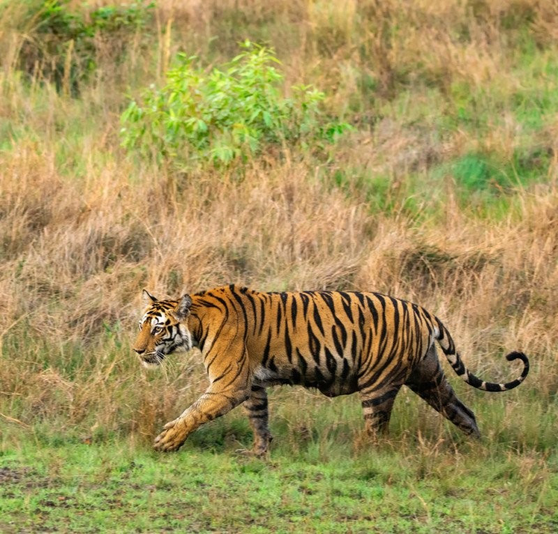 Doi 8 tieng de chup anh 