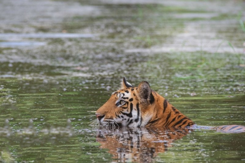 Doi 8 tieng de chup anh 