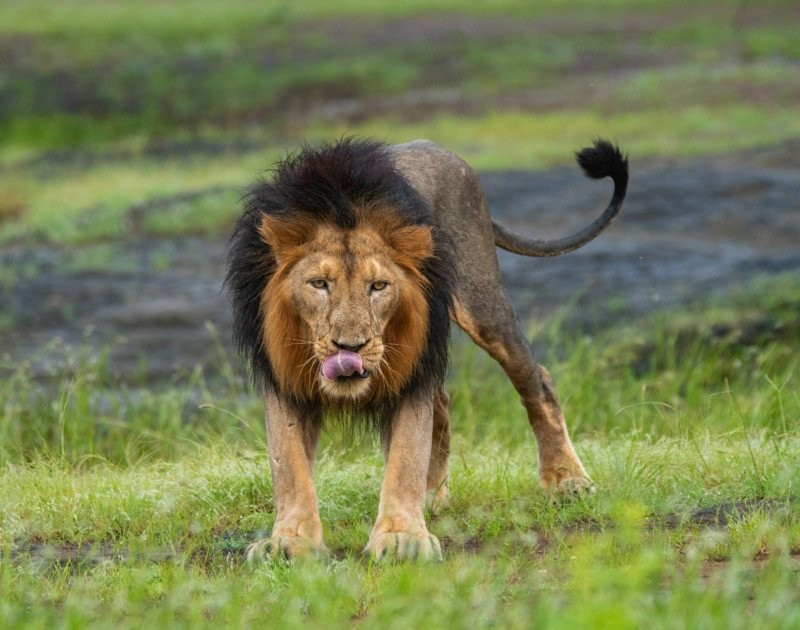 Doi 8 tieng de chup anh 