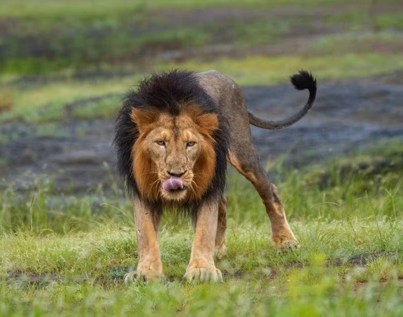 Doi 8 tieng de chup anh 