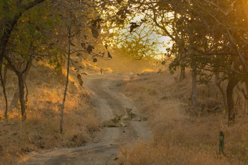 Doi 8 tieng de chup anh 