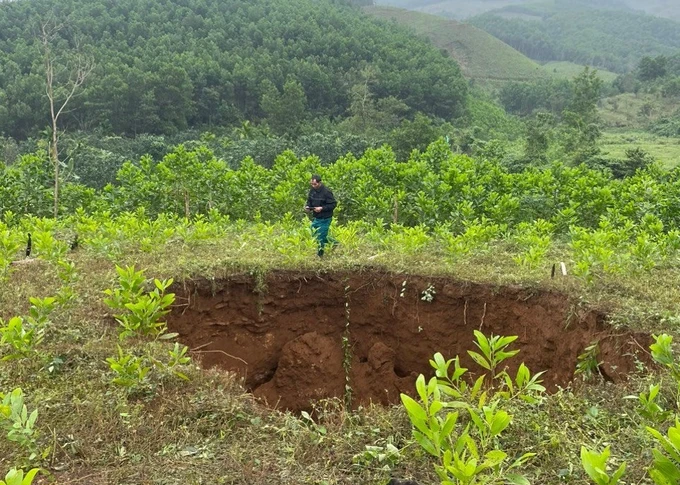 Quang Nam: Nguyen nhan xuat hien “ho tu than” trong rung keo