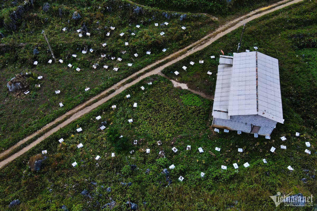 Nghề nuôi ong và khai thác mật ong bạc hà đã và đang mang lại nguồn thu nhập cao cho bà con, qua đó góp phần xóa đói giảm nghèo bền vững cho người dân địa phương. Theo Nghị quyết 209/2015/NQ-HĐND, tỉnh Hà Giang đã đưa ra chính sách khuyến khích phát triển sản xuất nông nghiệp hàng hóa trên địa bàn trong đó có nuôi ong.