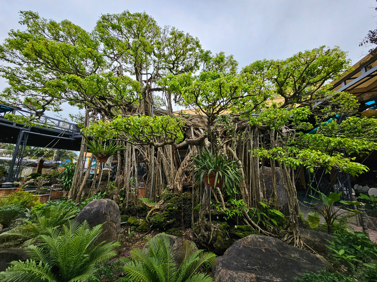 Tác phẩm mang một "thần thái" cuốn hút đặc biệt.