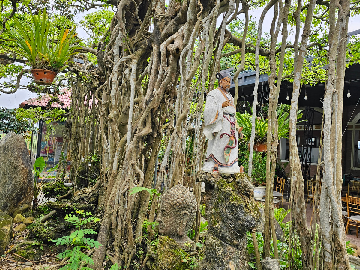 Tác phẩm nổi bật bởi bộ rễ sần sùi, nổi hẳn lên mặt đất và bám chặt với lớp đất đá rêu phong.